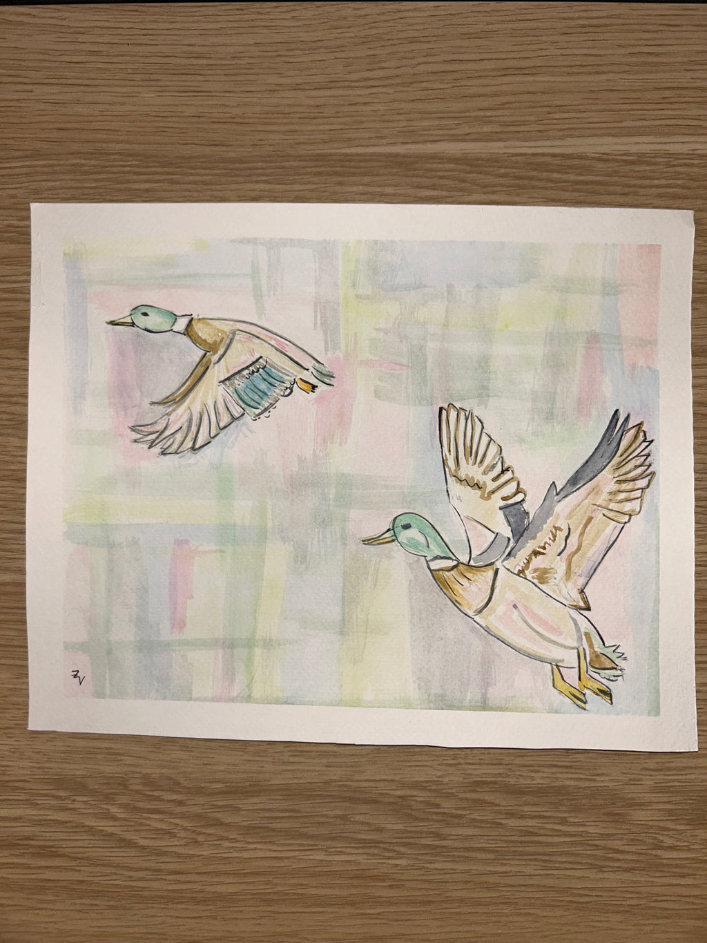 Mallard print Watercolor 2 piece set