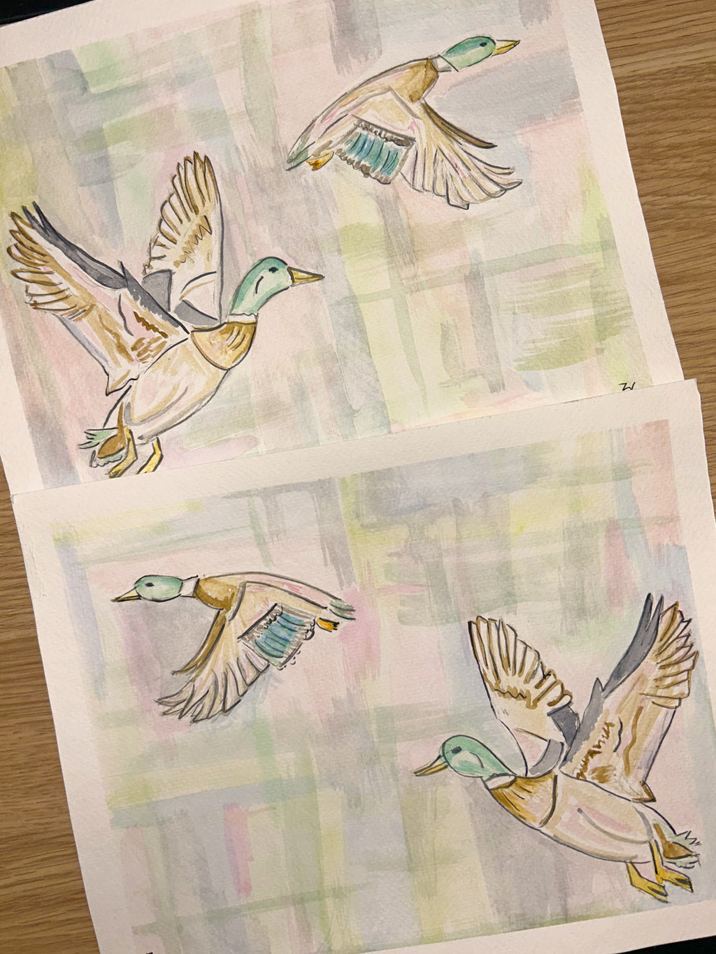 Mallard print Watercolor 2 piece set